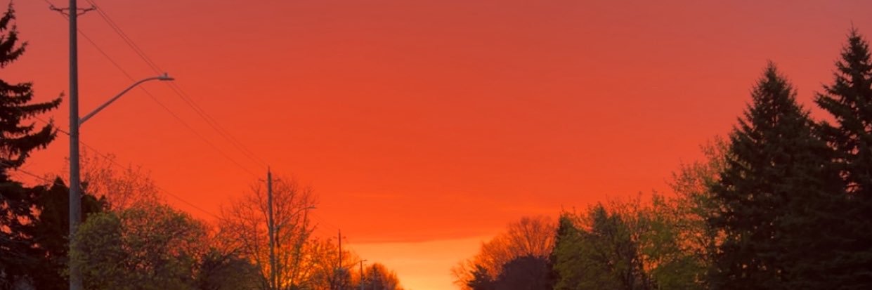 prxncewill's profile banner image