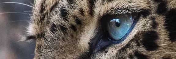 ChuckB2424's profile banner image