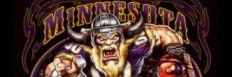 wallisonwillams's profile banner image