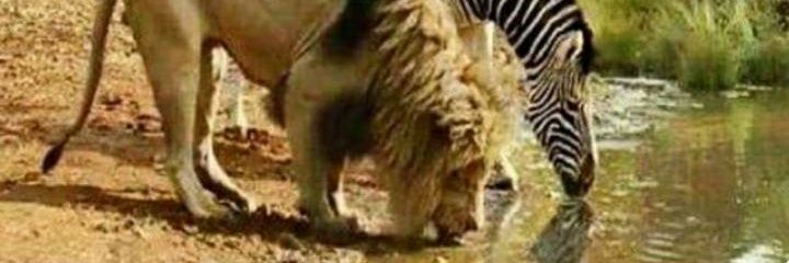 del_mah's profile banner image