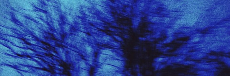 ErikaMunteanu's profile banner image