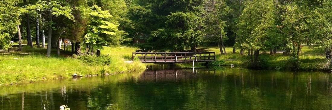 SpringwaterPP banner