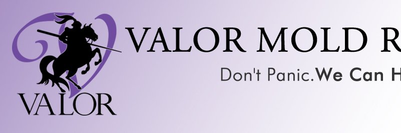ValorMold's profile banner image