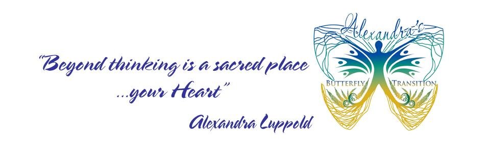 AlexandraLuppo's profile banner image