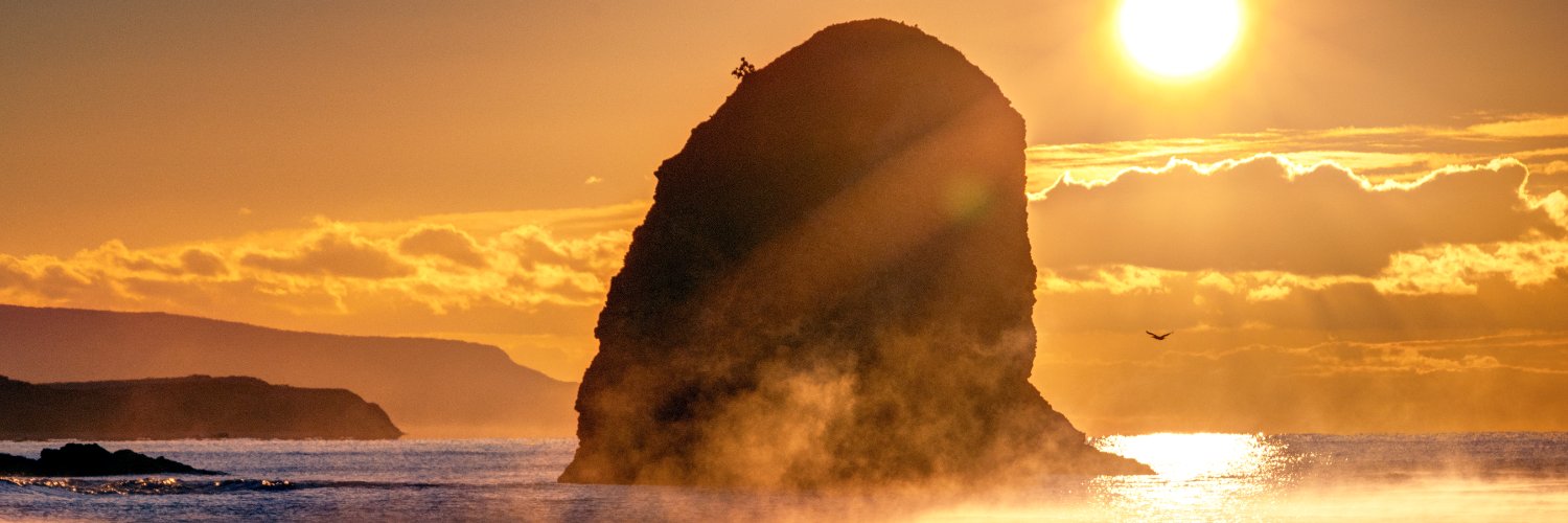 Red Funnel (IoW Ferries) banner