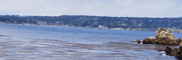 AlmazNegash Profile Banner