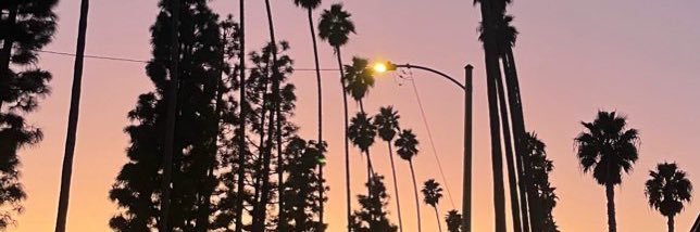 Monny banner