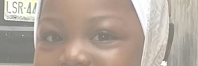 DanlamiBashir's profile banner image