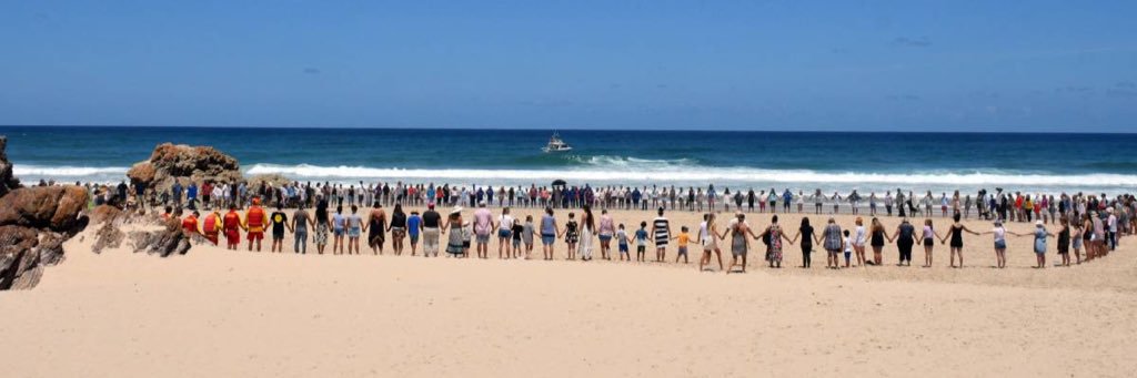 LifeguardsPMQ's profile banner image