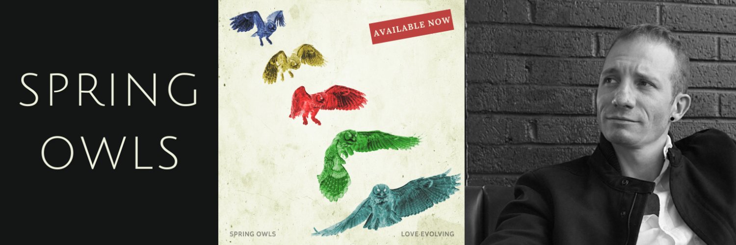 springowlsmusic's profile banner image