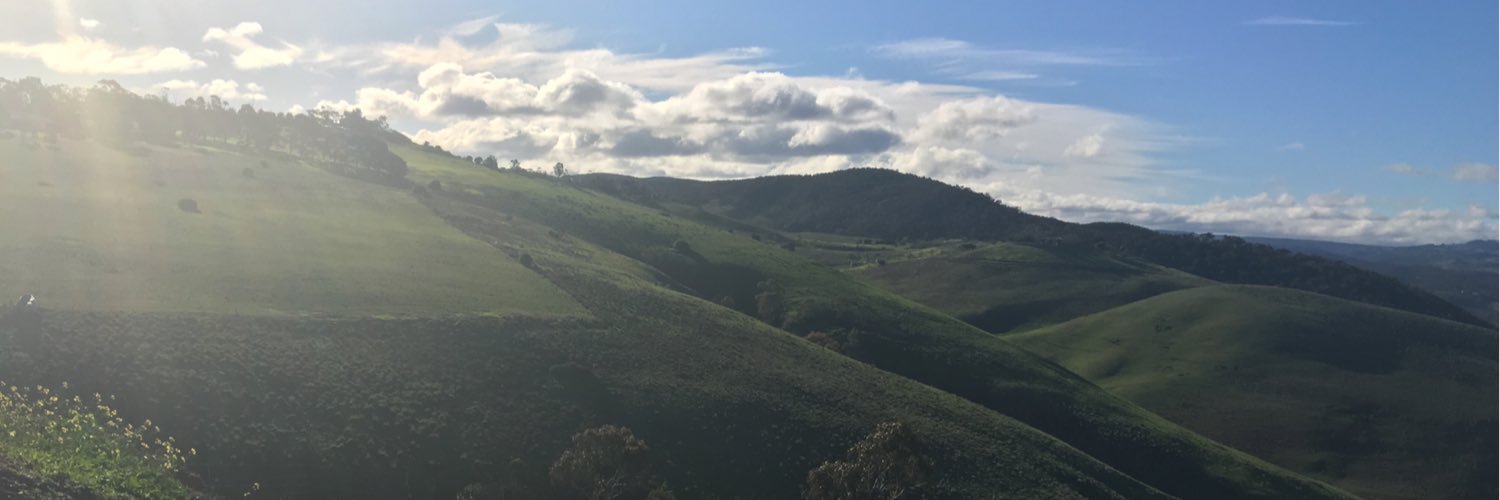 Quyenii3's profile banner image