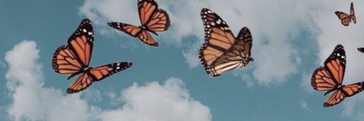 sofiavsanchezz's profile banner image