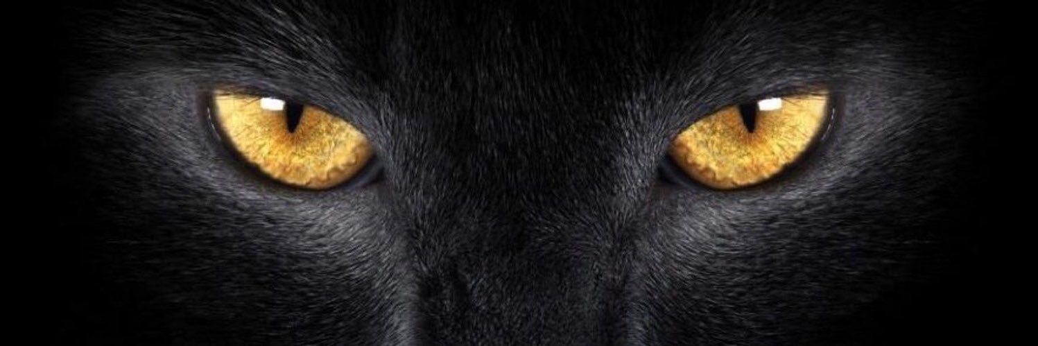 jcrim45's profile banner image
