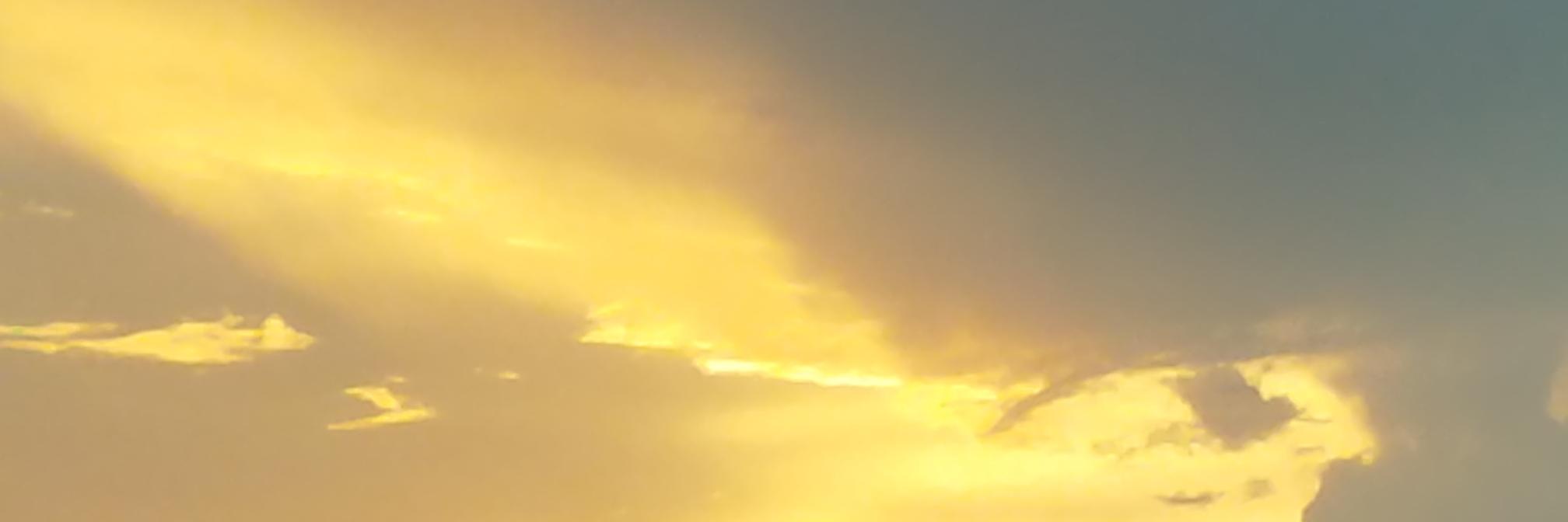 Israhel's banner