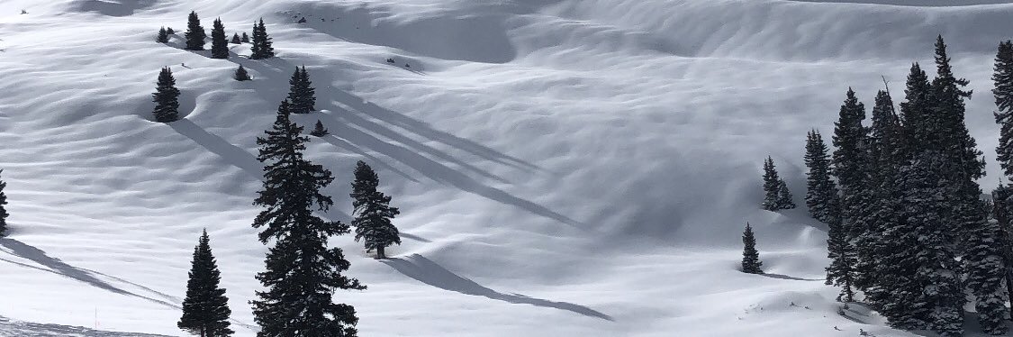 T_Taylor6's profile banner image