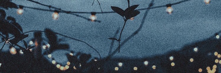CasssieLyn's profile banner image