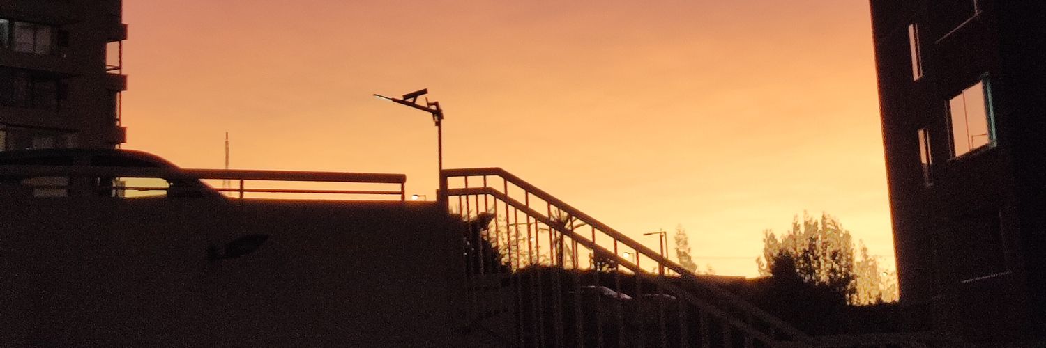 Strr4y_d0g's profile banner image
