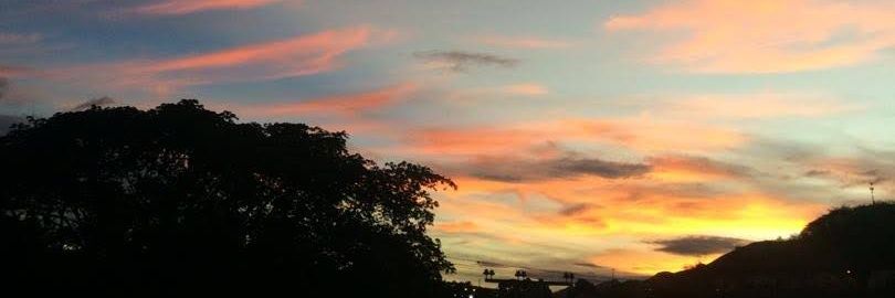 nelsonrab21's profile banner image