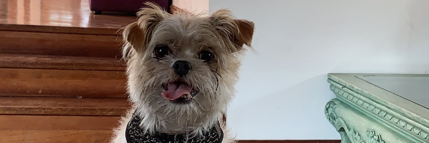 SoyCamiRamirez's profile banner image