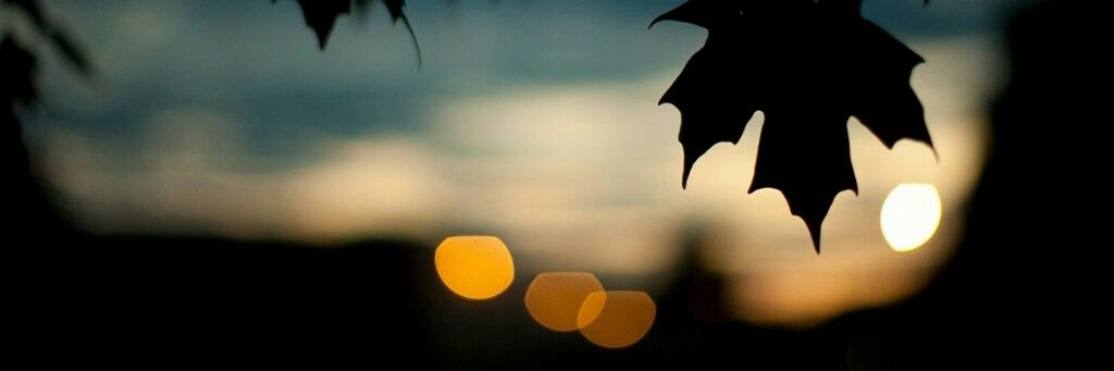 UlisesOc9's profile banner image