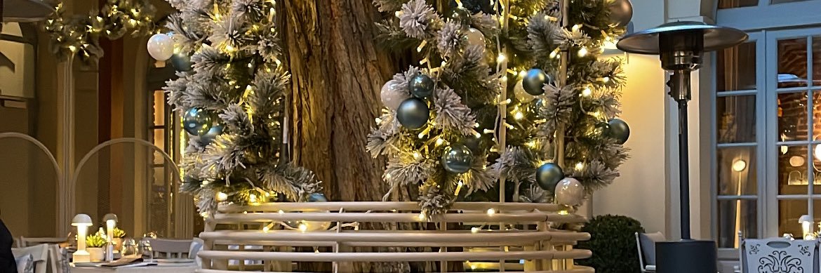 iremkayaoglu's profile banner image