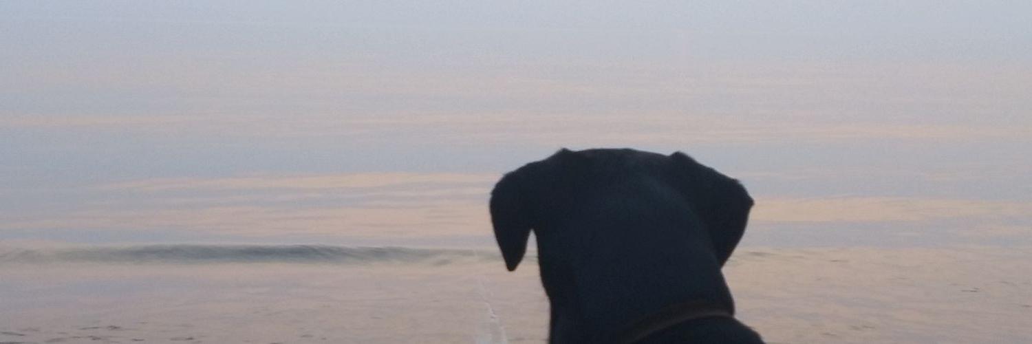 rickbrack02's profile banner image