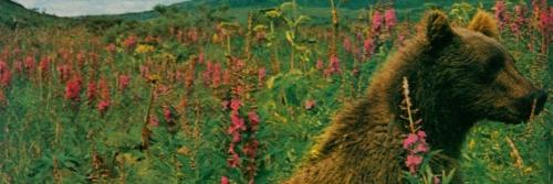 teenspleen's profile banner image