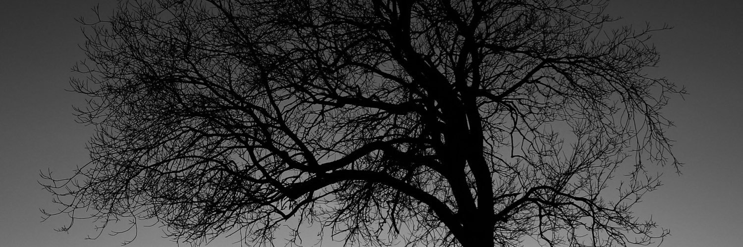 ilkerglr_'s profile banner image
