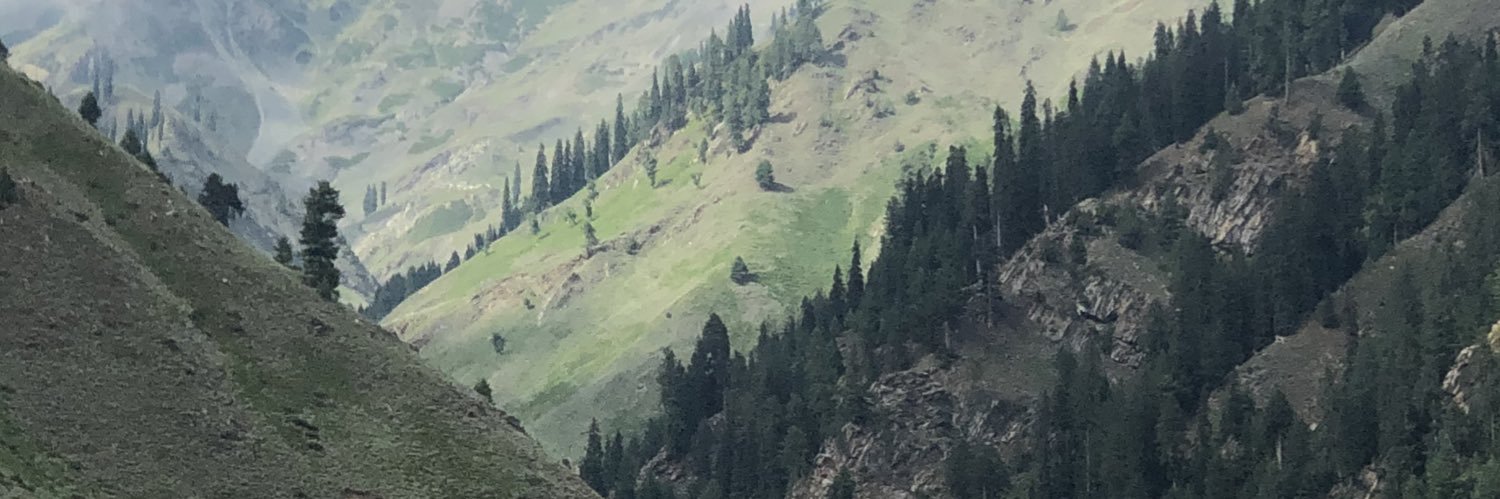 Ashfii's profile banner image