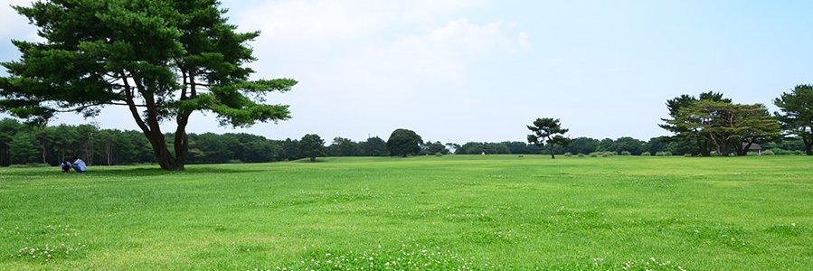 NjGez1's profile banner image