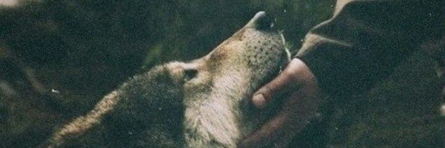 thalika8's profile banner image