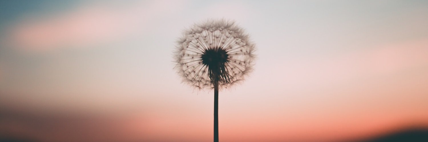 AmberlySchenck's profile banner image