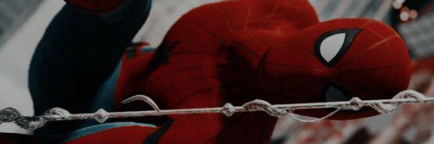 silvanishh's profile banner image