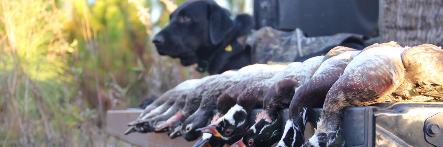 lott_wes's profile banner image