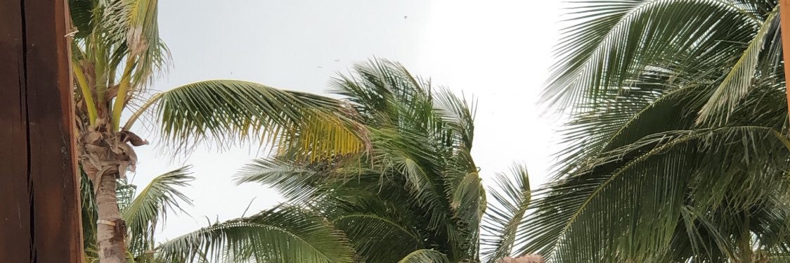 imaanwalji's profile banner image
