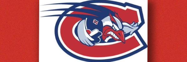 CriticalHabsFan Profile Banner