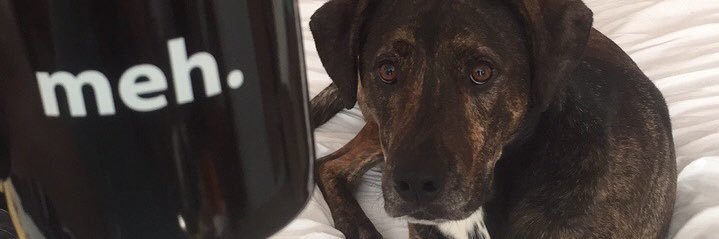Shelby_Zeuli's profile banner image