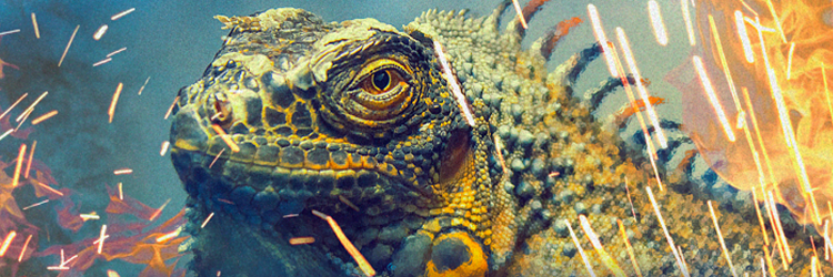TYTLizard's profile banner image
