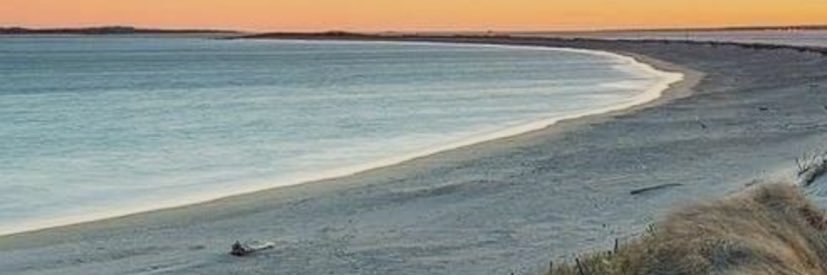 🌊ristina Ladrón de Guevara banner