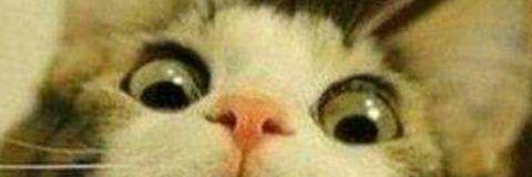 pauloeduardoen1's profile banner image