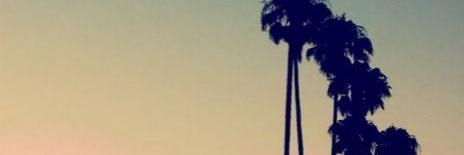 Giulia Battaglia banner