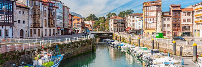 Harry Callahan 🇺🇦 banner