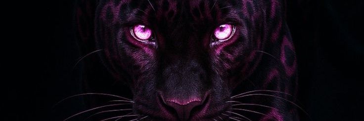 _dadiban021's profile banner image