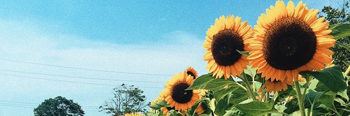 ercfischerr's profile banner image