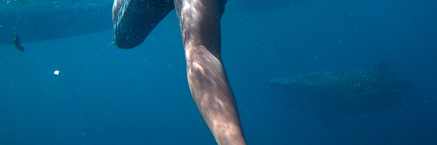 kuahgedi's profile banner image