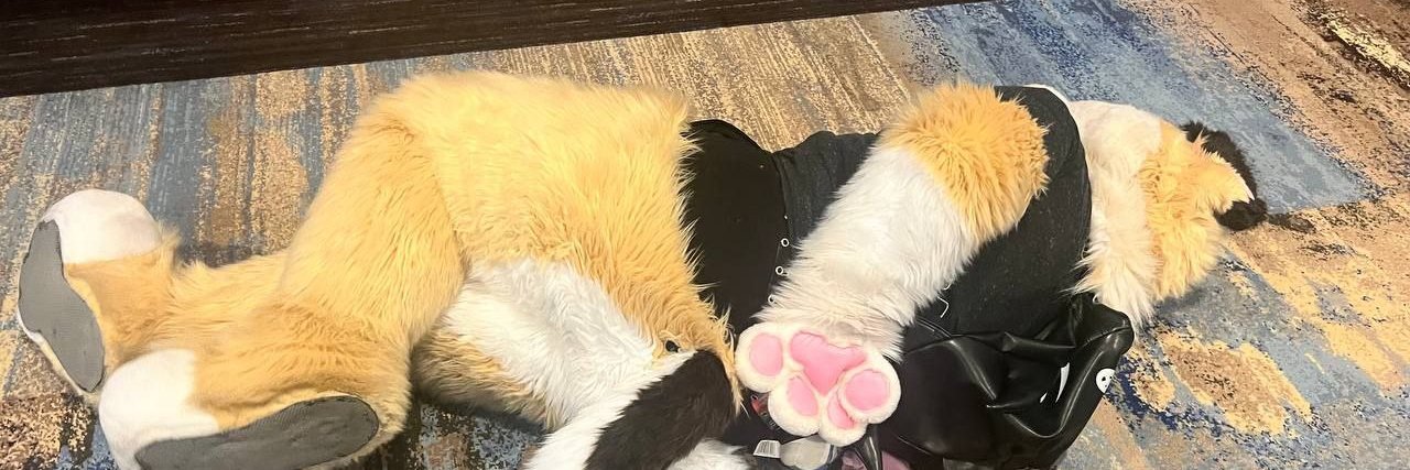 gryphden's profile banner image
