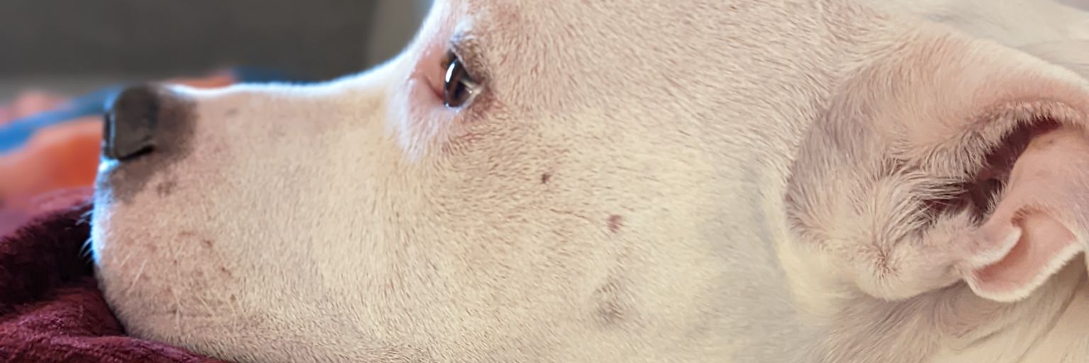 WhenInRome's profile banner image