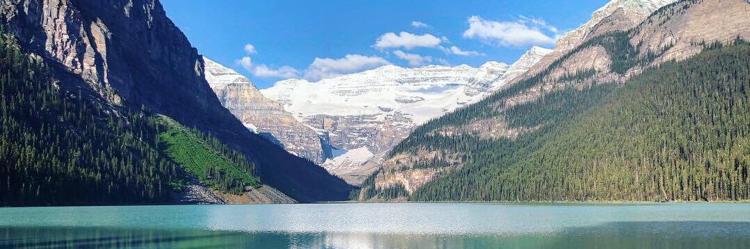 Haley Hilliard banner