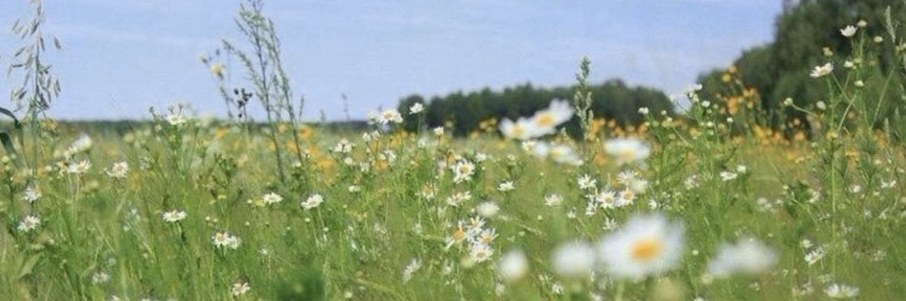 caampsx's profile banner image