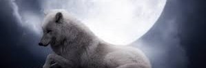 larka56's profile banner image
